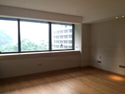 Hana (D10), Condominium #478643021